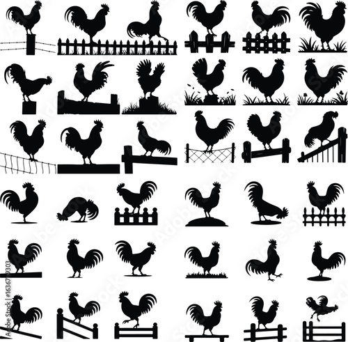 Rooster Crowing on Fence Silhouette – Rural Morning Icon Set Farm Rooster Silhouette on Fence – Sunrise Animal Icon