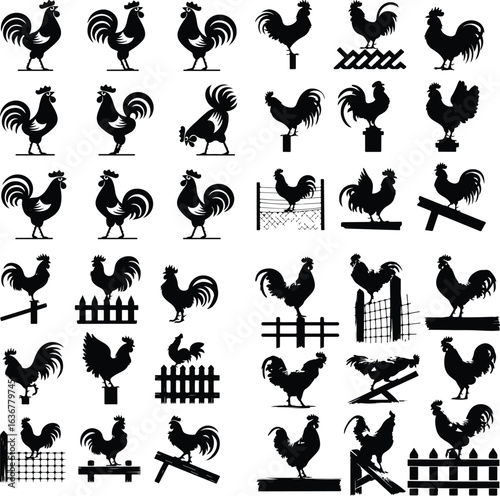 Rooster Crowing on Fence Silhouette – Rural Morning Icon Set Farm Rooster Silhouette on Fence – Sunrise Animal Icon