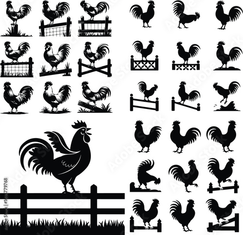 Rooster Crowing on Fence Silhouette – Rural Morning Icon Set Farm Rooster Silhouette on Fence – Sunrise Animal Icon