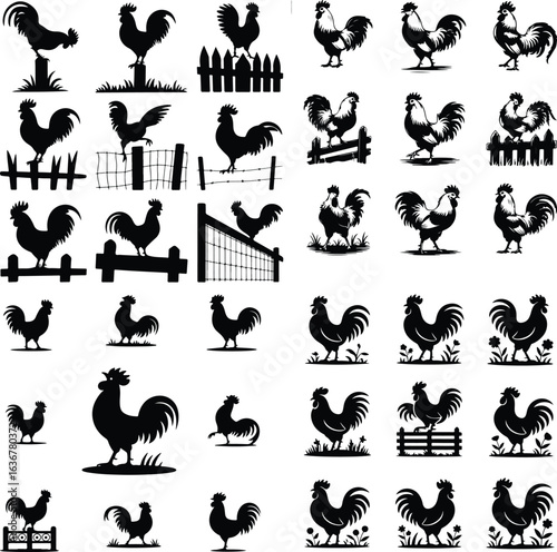 Rooster Crowing on Fence Silhouette – Rural Morning Icon Set Farm Rooster Silhouette on Fence – Sunrise Animal Icon