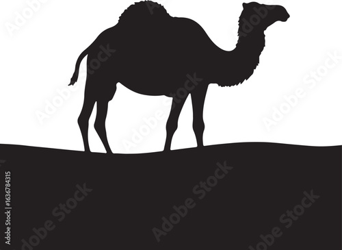 Camels on sands silhouette image white backgrpound.