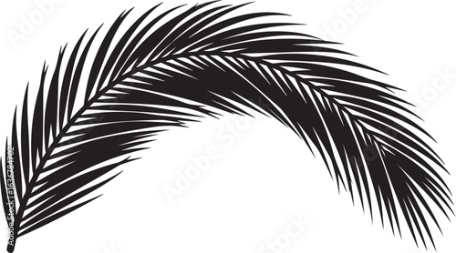Black silhouette of a curved palm frond on a white background Keywords: palm, frond, leaf, tropical, plant