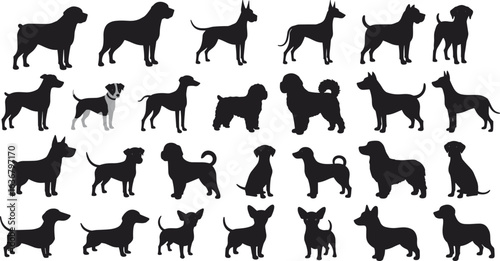 Dog silhouettes collection, unique dog concept, visual discrimination, pattern recognition, black and white standout, canine diversity, pet design, animal shapes
