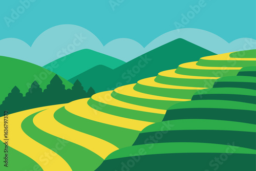 a rice terrace field carved into a green hillside
