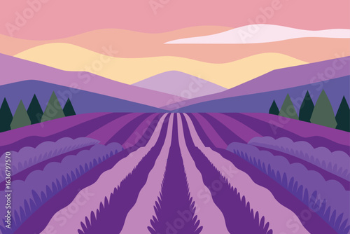 a field of lavender stretching toward distant hills