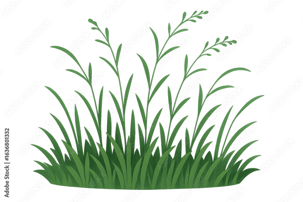 Fototapeta premium Green grass growing on transparent background for easy compositing