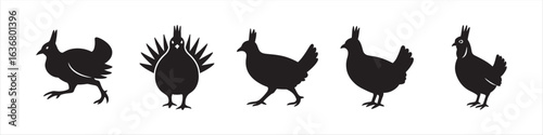 Minimalist Attwater’s Prairie Chicken Silhouette Bundle with Standing, Flying, Walking, Displaying, and Running Poses Vector Images on White Background
