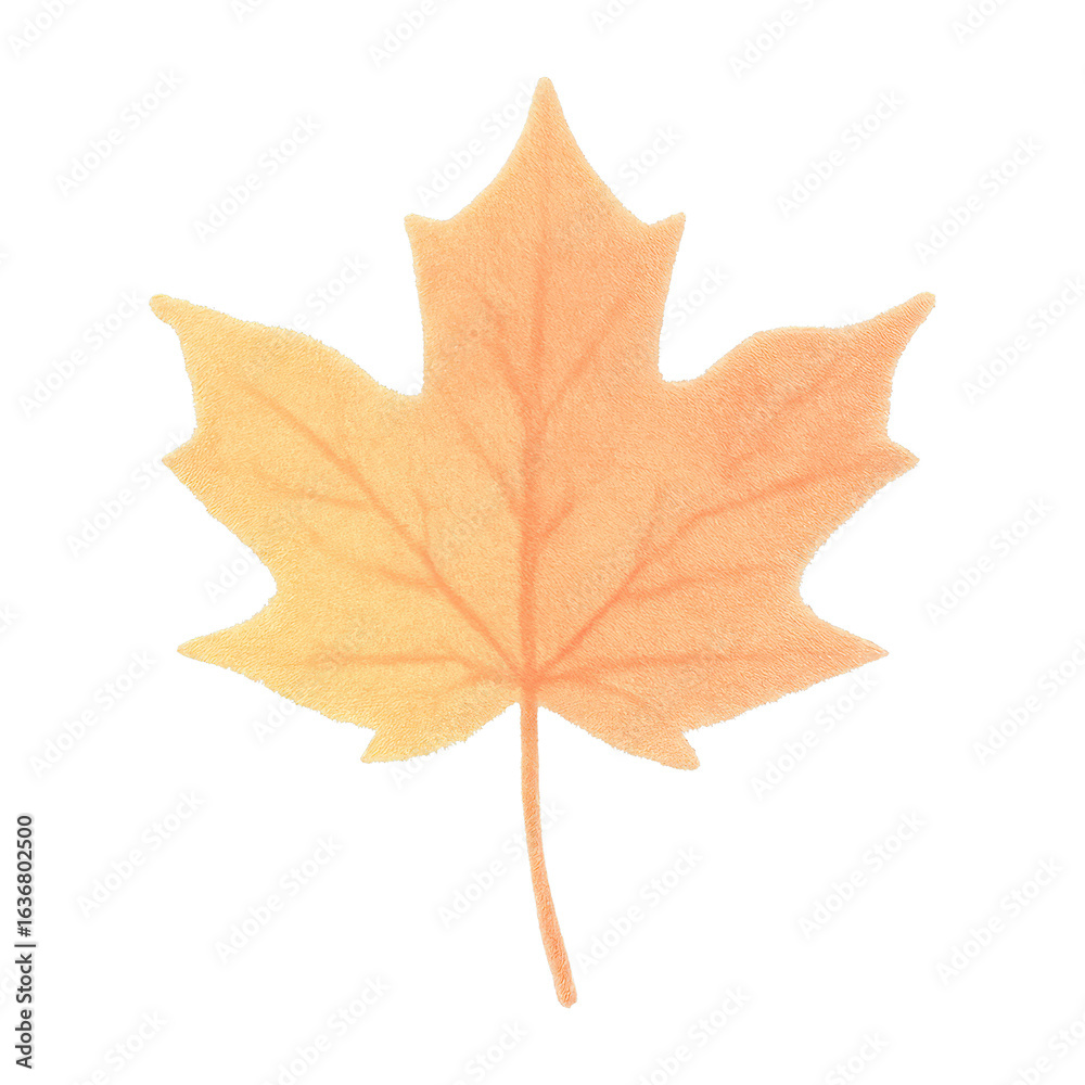 Fototapeta premium PNG Autumn maple leaf illustration