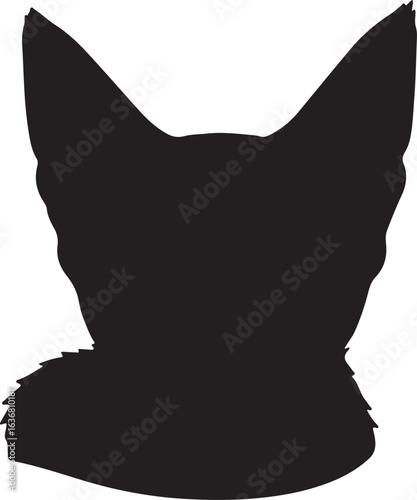 Valokuva Korn Ja cat full image in silhouette image white background.