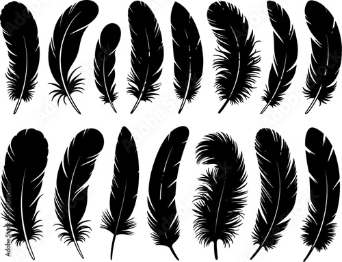 Set of black feather silhouettes isolated on a white background