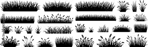 Black grass silhouettes vector set, collection of plant and reed illustrations isolated on white background
