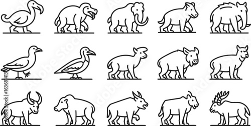 Collection of extinct and existing animals in a simple line drawing style