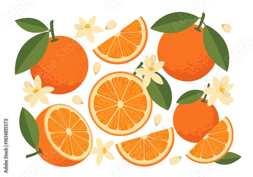 Fresh oranges and slices with leaves and flowers, isolated on white background