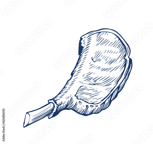 Fresh raw meat products. Sketch engraved style. Hand drawn vector illustration for butcher shop or restaurant menu 