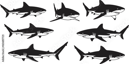Great white shark illustration set, aggressive marine predator vector artwork, black and white ocean animal drawing for decoration and design