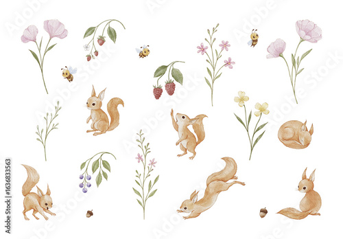 Watercolor woodland squirrel clipart set with autumn leaves, acorns, mushrooms and forest elements, hand-painted cute animals for nursery decor, kids products, invitations, posters, and apparel