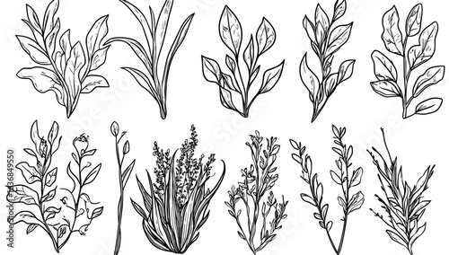 Modern isolated objects on white include a collection of realistic green grass, 3D fresh spring plants, and diverse herbs and bushes, perfect for creating posters and advertisements