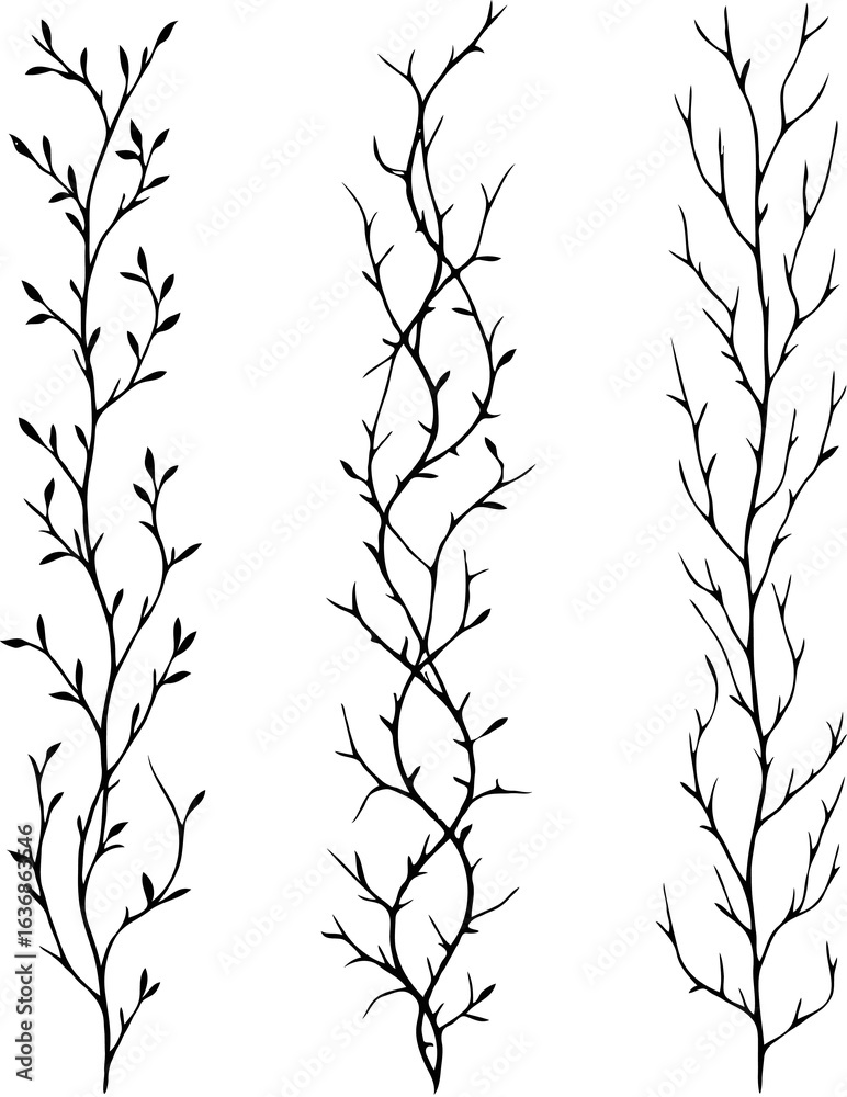 Fototapeta premium Detailed line art of twigs and thorns vine stems illustration. Outline Simple Stylized plants. Set of branches, leaves. Seamless doodle floral pattern. Hand drawn Botanical drawing, frieze. 