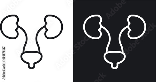 Urology icon line concept, linear symbol.