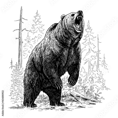 Dominant Forest Predator Standing and Vocalizing Graphic