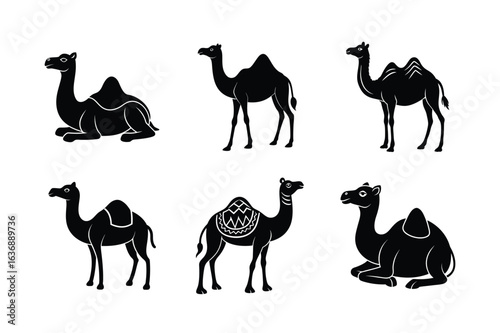 camels vector illustration