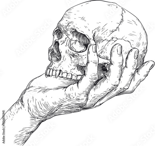 Hand holding a detailed skull sketch representing life and death concept. Vector illustration