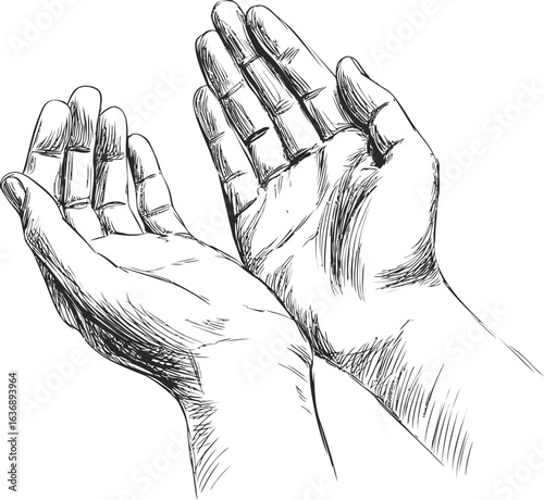 Sketch of open hands with detailed lines expressing openness and calm. Vector illustration