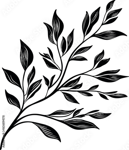 Elegant black and white botanical illustration with detailed leaves. Vector illustration