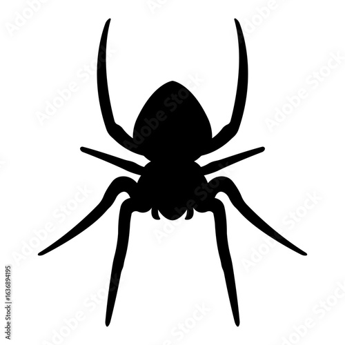 Silhouette of black spider.Vector spider icon.Large scary spider isolated on transparent background.