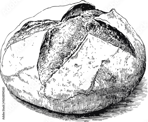 Detailed sketch of a rustic round loaf of bread with cracked crust. Vector illustration