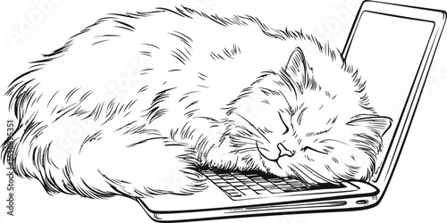 Fluffy cat sleeping on a laptop with eyes closed, black and white sketch. Vector illustration