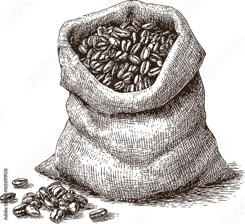 Hand-drawn burlap sack filled with coffee beans in vintage style. Vector illustration