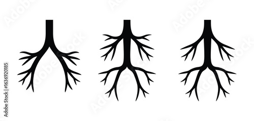 Three stylized black branching structures on a white background