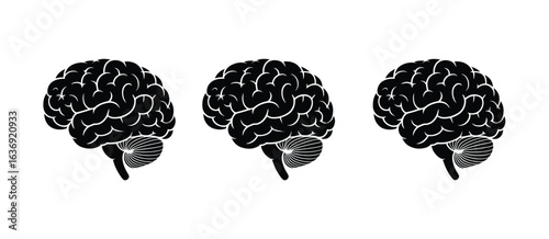 Three black and white stylized human brains in profile on a white background