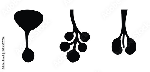 Three stylized black ink drawings of plant seed pods or botanical elements