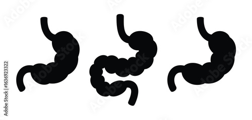 Three black silhouette illustrations of the human stomach