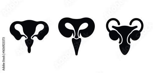 Stylized silhouettes of female reproductive system anatomy