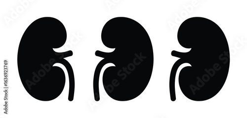 Three black kidney silhouettes on a white background