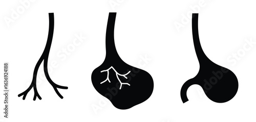 Three stylized black silhouettes of neurons on a white background