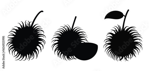Silhouettes of three spiky rambutan fruits on white background