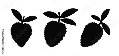 Three black silhouettes of stylized plants with serrated leaves and stems