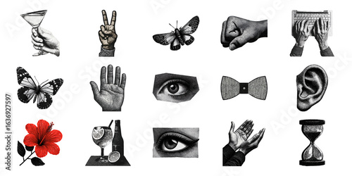 Vintage Hand-Drawn Objects Set. Retro Collage Elements Collection Illustration Isolated On Transparent Background