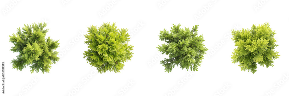 Fototapeta premium Top View Of Green Bushes Set. Nature And Landscaping Design Collection Isolated On Transparent Background