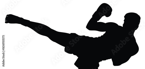Silhouette of a martial artist performing a dynamic high kick in mid air