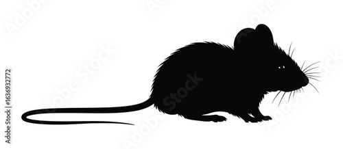Silhouette of a small rodent with long tail and large ears