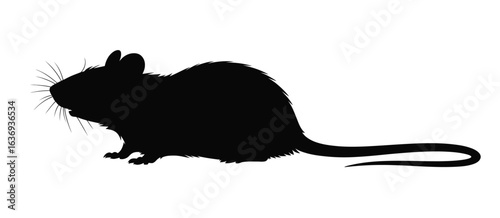 Silhouette of a degu rodent on a white background