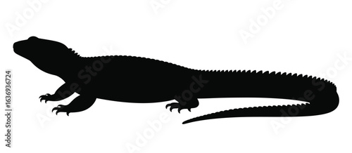 Black silhouette of a marine iguana on a white background