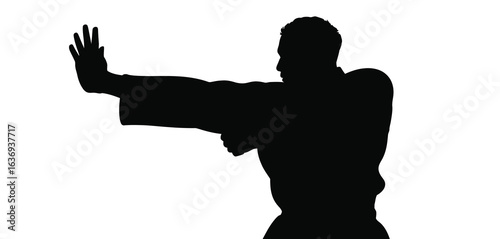 Silhouette of a martial artist in a defensive stance against a white background