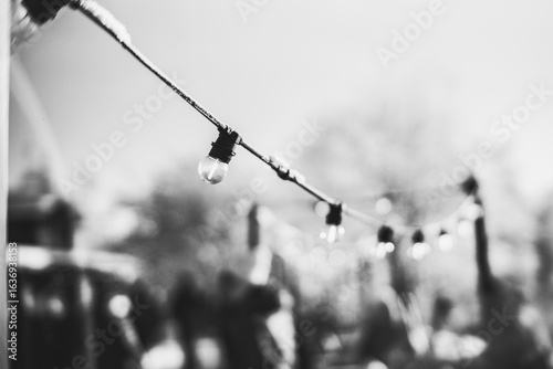 Charming Festive String Lights in Black and White Outdoor Ambience for Celebrations and Gatherings