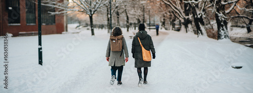 Serene Winter Walk Two People Enjoying a Snowy Path in a Tranquil Park Setting